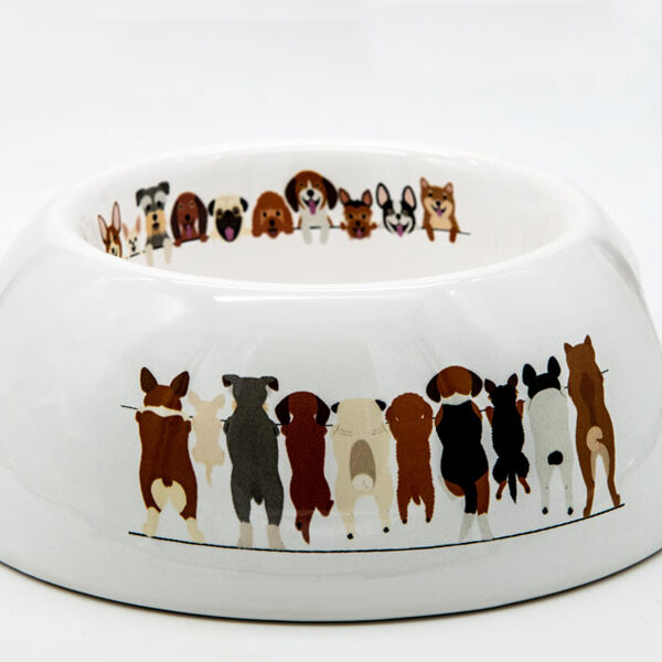 Ciotola in ceramica per amici a quattro zampe